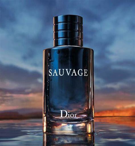 dior sauvage near me|dior sauvage 200ml best price.